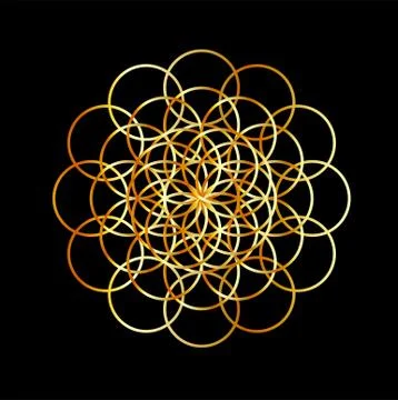 Flower of life	 Stock Illustration