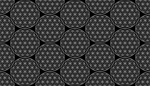 Flower of life seamless pattern, Yantra white Mandalas seed of life, Sacred Stock Illustration