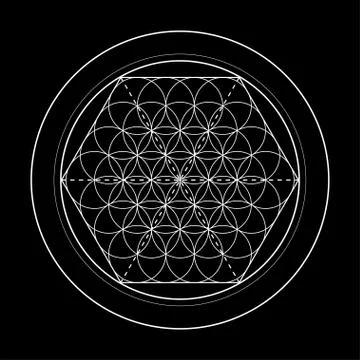 Flower of life vector image, sacred geometry symbol on black background 스톡 일러스트