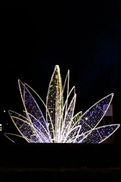 Flower light installation Stock Photos