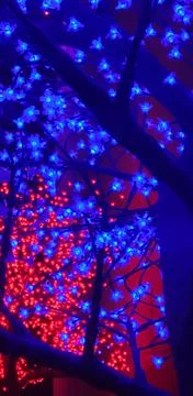 Flower lights Foto stock