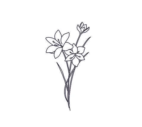 Flower lilly Stock Illustration