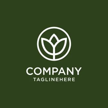 Flower lilly Logo Stock Illustration