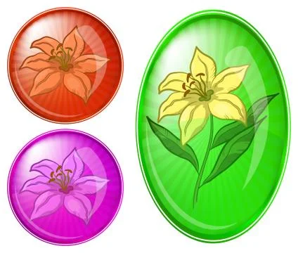 Flower lily, buttons Stock Illustration