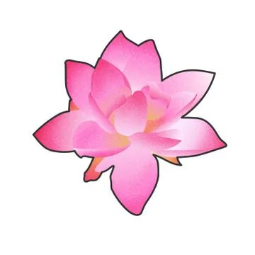 Flower lily, graphic work, nice colors, isolated work Stock Illustration