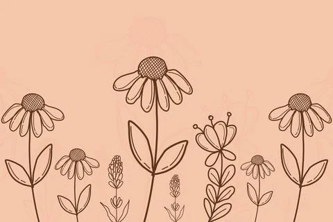 Flower Line Art Background Vector Stock Illustration