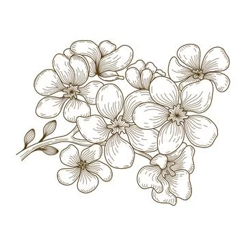 Flower line art  Stock Illustration