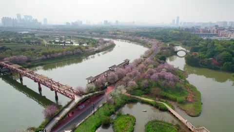 Flower lined causeway and covered waterside gallery in Guangzhou China Video stock 346030947
