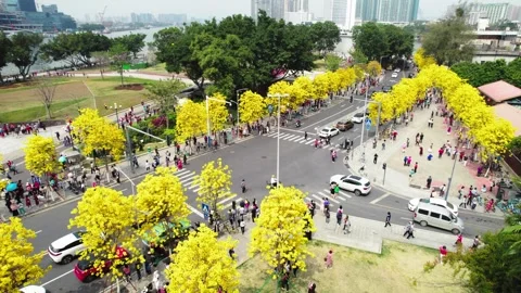 Flower lined junction and busy public plaza at Zhoutouzui in Guangzhou China Stock Footage 346032253