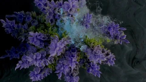 Flower liquifying 스톡 동영상 330444530