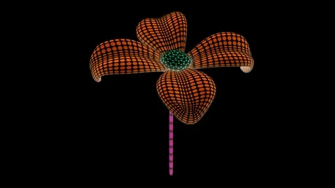 Flower. Looping footage has 4K resolutio... | Stock Video | Pond5