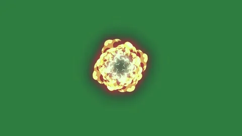 Flower Looping On Green Screen Chroma Key Background 스톡 동영상 338014468