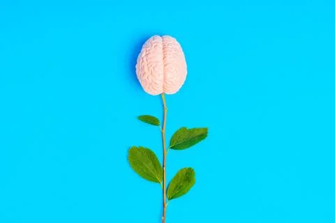 Flower Made from a Human Brain Isolated on Blue 스톡 사진