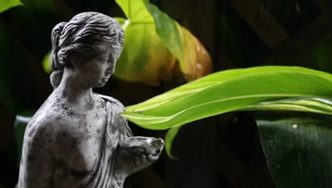 Flower Maiden Stock Footage