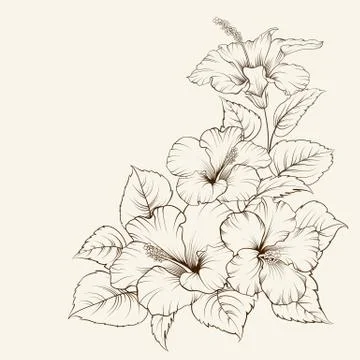 Flower of mallow Stock Illustration