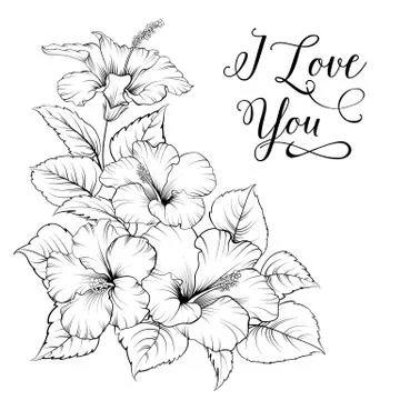 Flower of mallow Stock Illustration