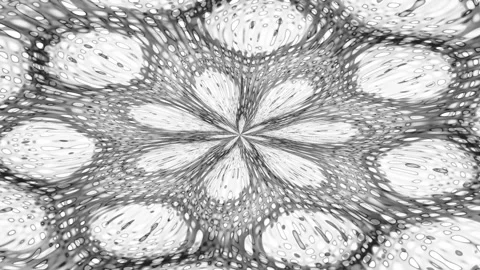Flower Mandala Exploded To The Middle Glowing Dots Monochrome Loop Stock Footage 243257613