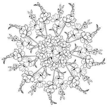 Flower mandala Stock Illustration