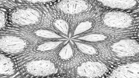 Flower Mandala Imploded To The Middle Glowing Dots Monochrome Loop Stock Footage 243257726