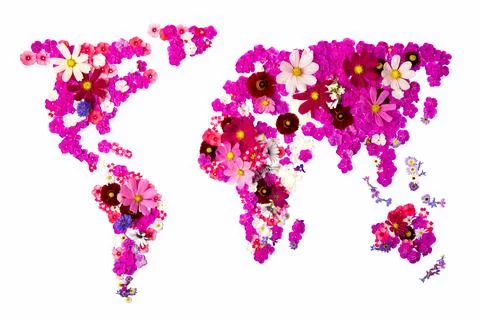 Flower map of the world Stock Photos