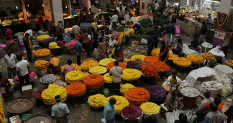 Flower Market Stock Footage 167114743