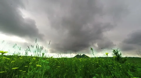 Flower meadow and dark clouds Donbass Stock Footage 65126224