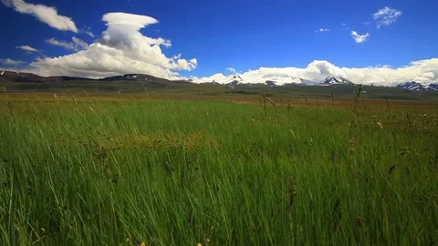 Flower meadow in the mountains 스톡 동영상 72301094
