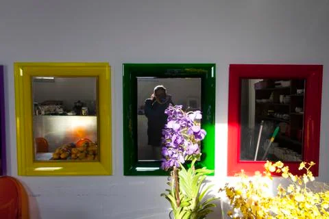 Flower in the mirror Stock Photos