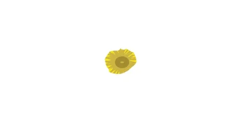Flower motion graphics video two Stock Footage 297206176