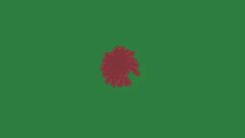 Flower Motion Isolated Green Screen Stock Video Stockbeeldmateriaal 338015013