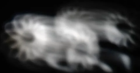 Flower motion Stock-Fotos