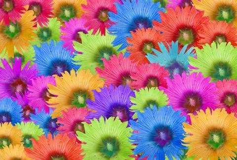 Flower Multicolored Stock Illustration