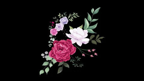 This flower name is Rose. It is beautiful flower in dark background. Stock Footage 287710862