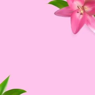 Flower Natural Background for Instagram Post. Vector Illustration Stock Illustration