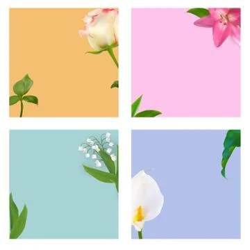 Flower Natural Background for Instagram Post Set. Vector Illustration Stock Illustration