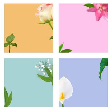 Flower Natural Background for Instagram Post Set. Illustration Stock Illustration