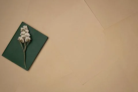 Flower on a notebook on sheets of paper background from above. Vintage. Copy  Stock Photos