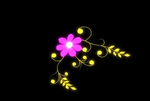 Flower NTSC Stock Footage 8836371