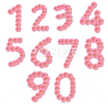 Flower Number 0-9 / Pink of chrysanthemum flower number Zero to nine isolated Stock Photos