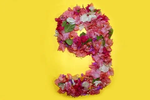 Flower numeric nine number 9 digit Stock Photos