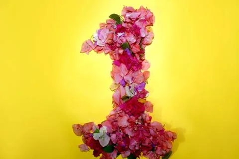 Flower numeric one number 1 digit Stock Photos