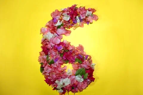 Flower numeric six number 6 digit Stock Photos