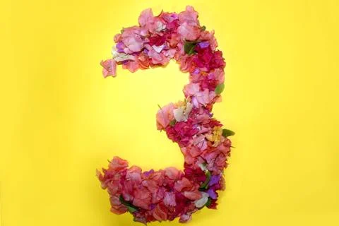 Flower numeric three number 3 digit Stock Photos