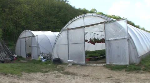 Flower nursery Stock Footage 41119001