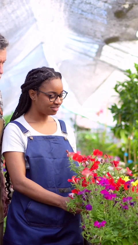 Flower nursery workers checking plants in the greenhouse Stock Footage 260334232