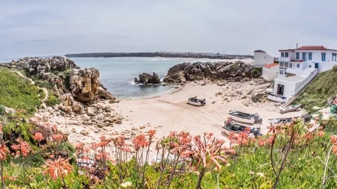 Flower Ocean View Timelapse 4k Stock-Footage 77252047