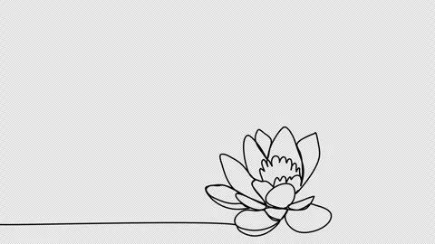 Flower, one line drawing animation, video clip with alpha channel. Stock Footage 264116286