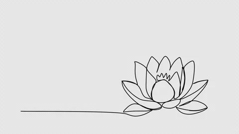 Flower, one line drawing animation, video clip with alpha channel. Stock Footage 264116441
