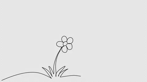 Flower. One line drawing animation with alpha channel. Stock Footage 271516384