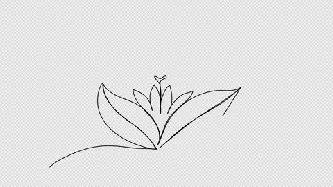 Flower. One line drawing animation with alpha channel. Stock Footage 271736496